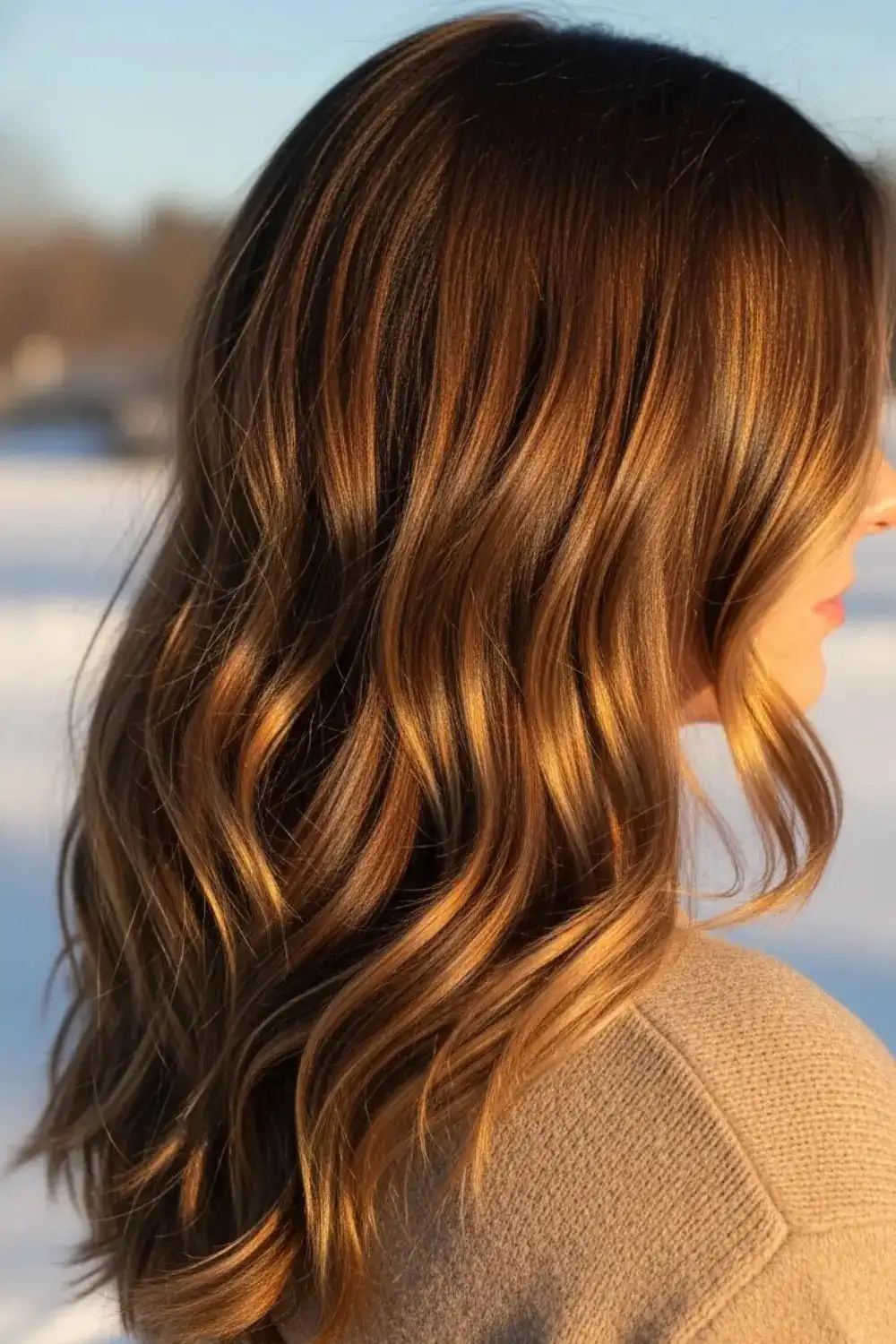 17 Rich Winter Brunette Hair Color Is Replacing Highlights 14 Golden Brown